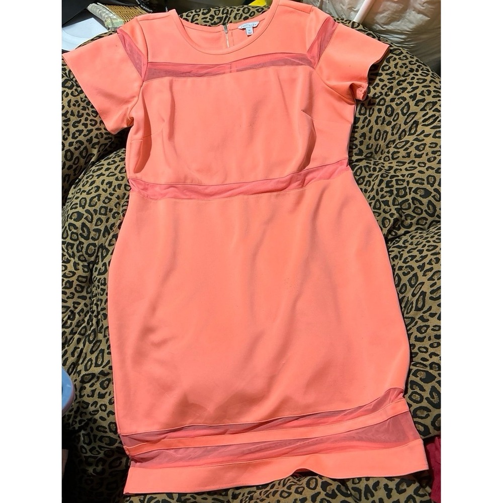 Boutique+ Women's Plus Size Coral Mesh Inset Knee Length Scuba Dress, Size 2X